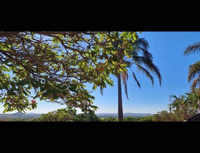 22HA FARM FOR SALE IN BUFFELSHOEK AH
